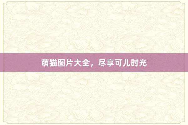 萌猫图片大全，尽享可儿时光